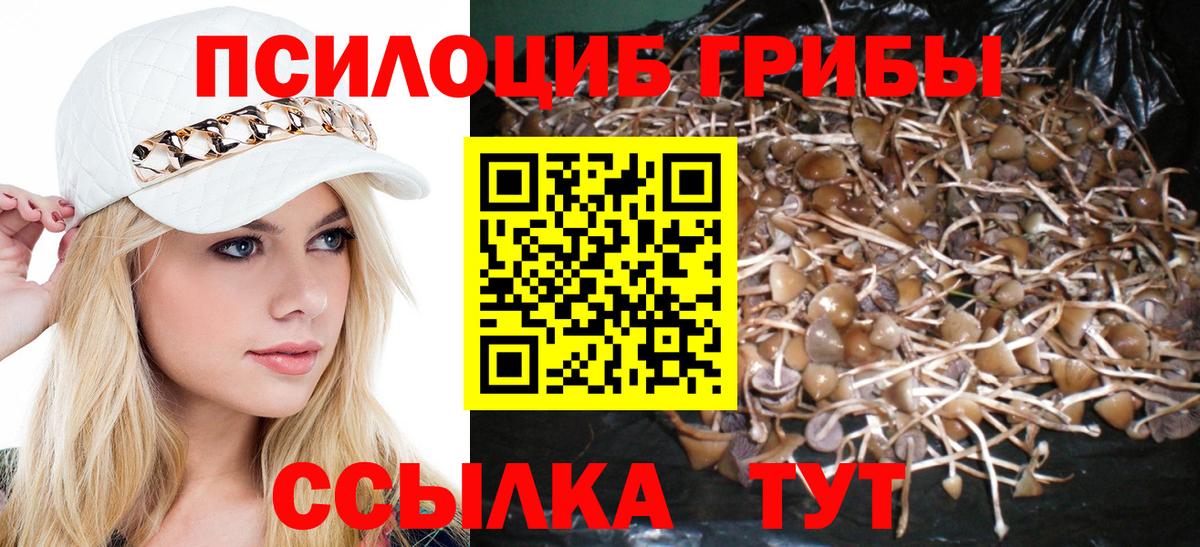 Тихорецк  Псилоцибиновые грибы мухоморы  Вход с VPN 